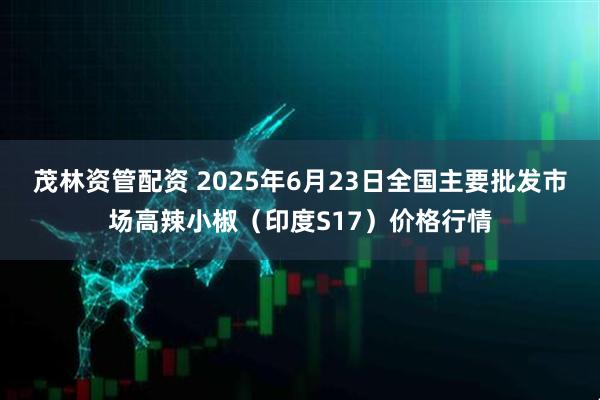 茂林资管配资 2025年6月23日全国主要批发市场高辣小椒（印度S17）价格行情