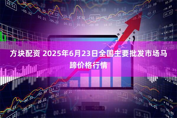 方块配资 2025年6月23日全国主要批发市场马蹄价格行情