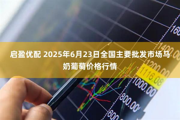 启盈优配 2025年6月23日全国主要批发市场马奶葡萄价格行情