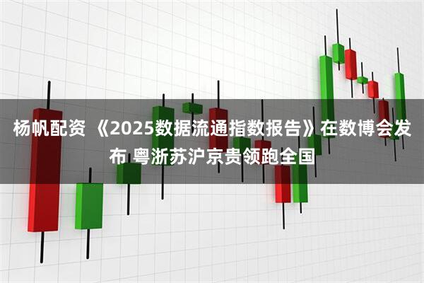 杨帆配资 《2025数据流通指数报告》在数博会发布 粤浙苏沪京贵领跑全国